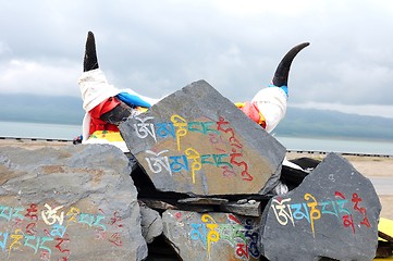 Image showing Tibetan prayer mani rocks and yak horns