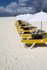 Image showing Row of Lunge Chairs and Umbrellas