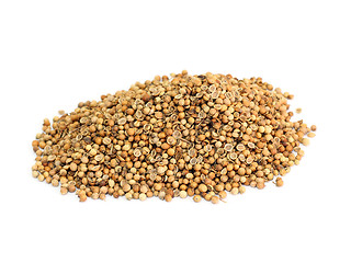 Image showing many coriander seeds 