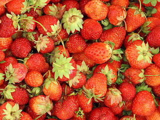Image showing  background of fresh strawberries