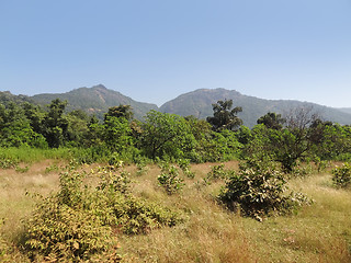 Image showing Bhagwan Mahaveer Sanctuary and Mollem National Park