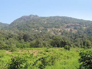 Image showing Bhagwan Mahaveer Sanctuary and Mollem National Park