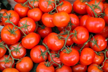 Image showing Tomato