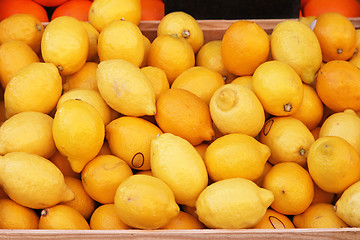 Image showing Lemons