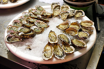 Image showing Oysters