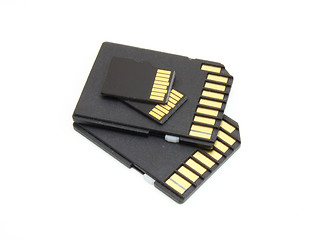 Image showing Secure Digital memory cards 