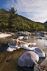 Image showing River in Corsica