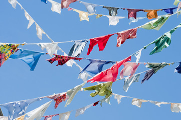 Image showing Multicolored shirts hanging