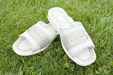 Image showing Sandals on the lawn