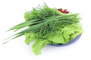 Image showing Green-stuff on a plate