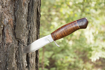 Image showing Old hunting knife