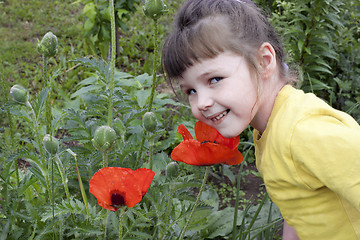 Image showing Baby girl and red poppies 