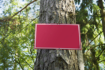 Image showing Red metal plate in wood