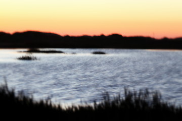 Image showing Wetland