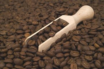 Image showing Coffee beans