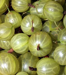 Image showing gooseberries