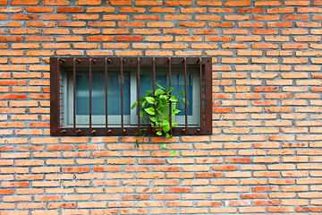Image showing Vintage wall and windows with plants