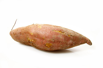 Image showing Sweet potato isolated on white background