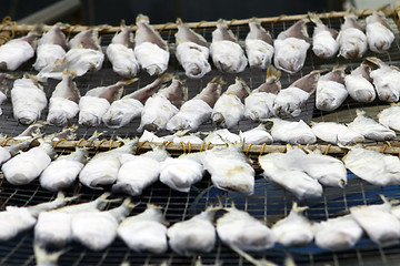 Image showing Dried fishes in Chinese culture