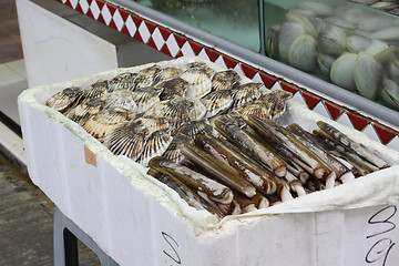 Image showing Seafood market in Hong Kong
