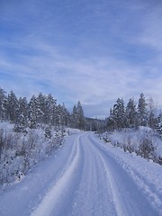 Image showing Winter road