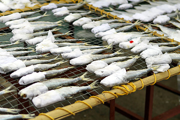 Image showing Dried fishes in Chinese culture