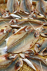 Image showing Salted fishes in Hong Kong