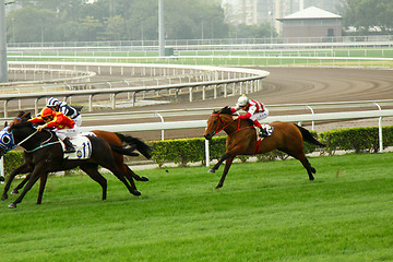 Image showing Cathay Pacific Hong Kong International Races