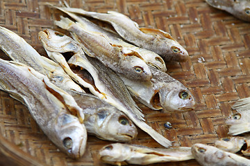 Image showing Salted fishes in Hong Kong
