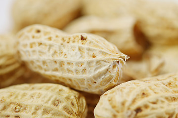 Image showing Peanuts isolated on white background