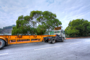 Image showing Truck car along the road, HDR image.