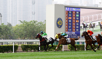Image showing Cathay Pacific Hong Kong International Races
