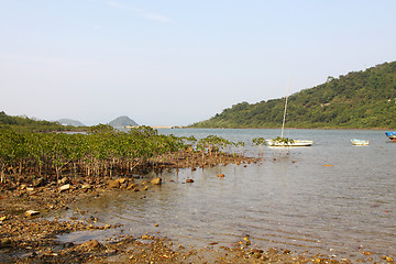 Image showing Wetland in Hong Kong along the coast