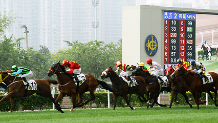 Image showing Cathay Pacific Hong Kong International Races