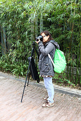 Image showing Female photographer with tripod