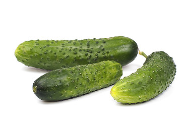 Image showing Cucumber