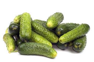 Image showing Cucumber