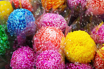 Image showing Chrysanthemum flowers in market