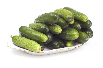 Image showing Green cucumber