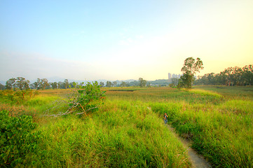 Image showing Wetland in Hong Kong, HDR image.