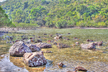 Image showing Wetland in Hong Kong, HDR image.