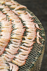 Image showing Dried shrimps in Chinese culture
