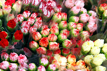 Image showing Roses in market for sales