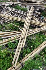 Image showing Bundle of bamboo stalks on the floor