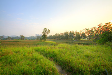 Image showing Wetland in Hong Kong, HDR image.