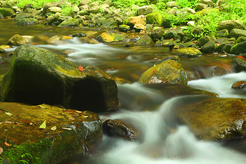 Image showing Landscape of water stream in Zhangjiajie, China