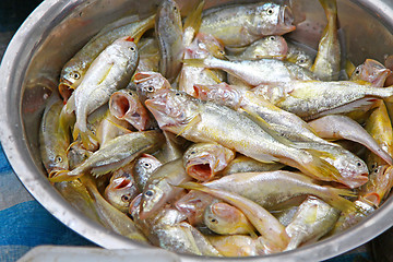 Image showing Fresh fishes in market