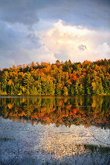 Image showing Fall forest and lake