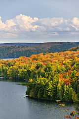 Image showing Fall forest and lake