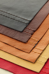 Image showing Leather upholstery samples